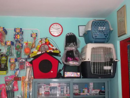 Ascesorios pára tu mascota